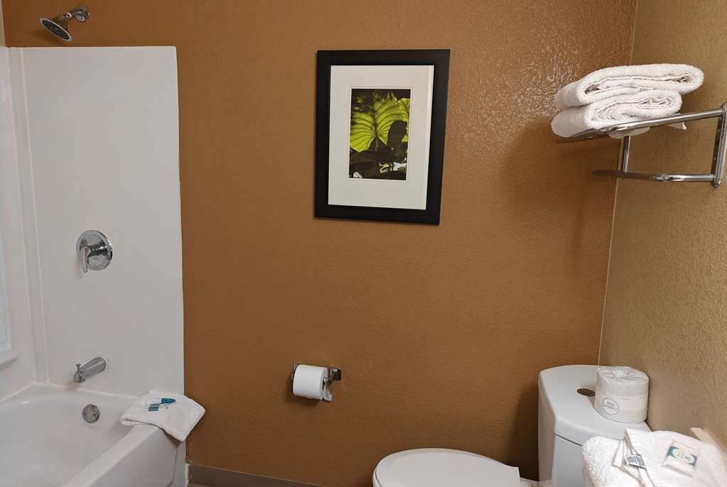 Hawthorn Extended Stay by Wyndham DFW Airport North - photo 19