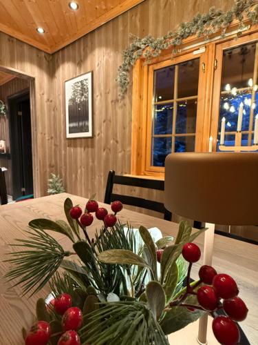 Trysil Moderna Lodge — Innbygda — photo 5