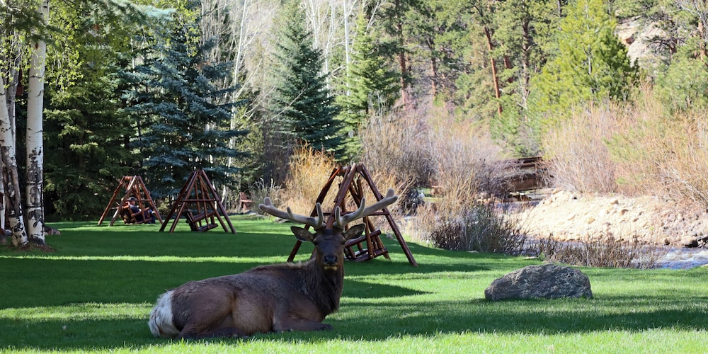 Aspen Winds on Fall River - photo 42