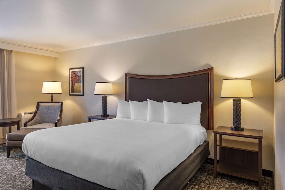 Best Western Plus Royal Oak Hotel - photo 16