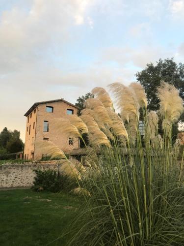 Cal Fuster - carbon neutral hotel in Unknown City