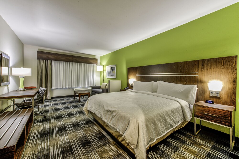 Holiday Inn Express & Suites Dallas NW Farmers Branch by IHG - photo 11