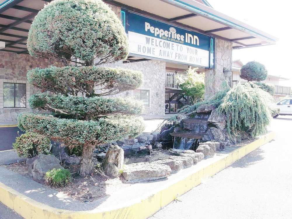 PepperTree Inn - photo 28