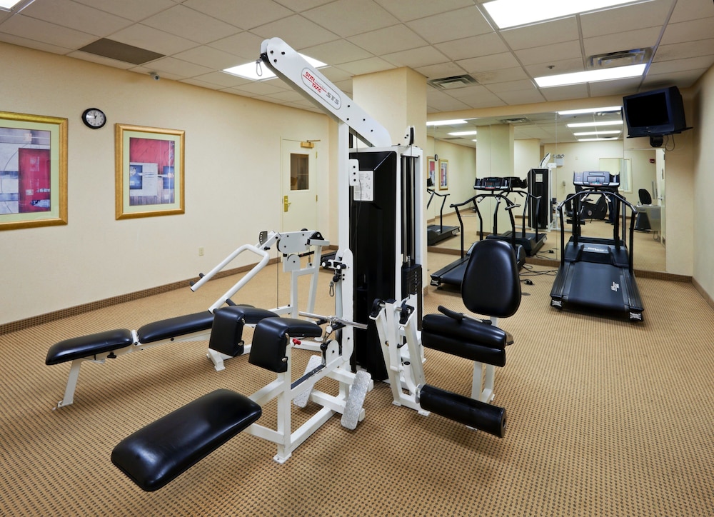 Holiday Inn Chantilly Dulles Expo Center by IHG - photo 27