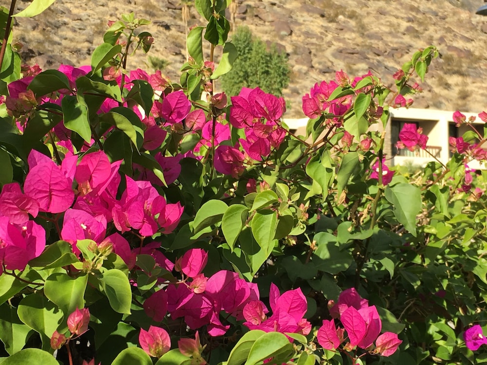 GetAways at Palm Springs Tennis Club - photo 41
