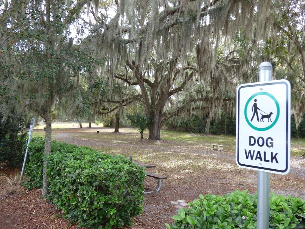 Country Inn & Suites by Radisson Port Orange Daytona FL - photo 22