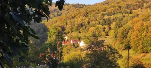 O 2J — hotel in Fresse-Sur-Moselle