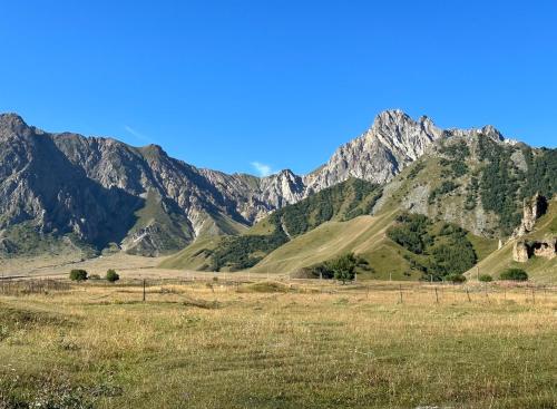 Alpine Escape Kazbegi
