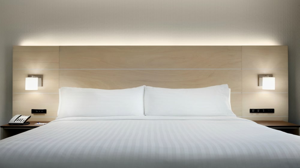 Holiday Inn Express Williamsbrg Busch Gardens Area by IHG - photo 9