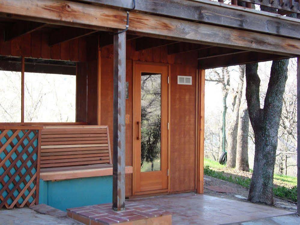 Bellevue Guesthouse - photo 9