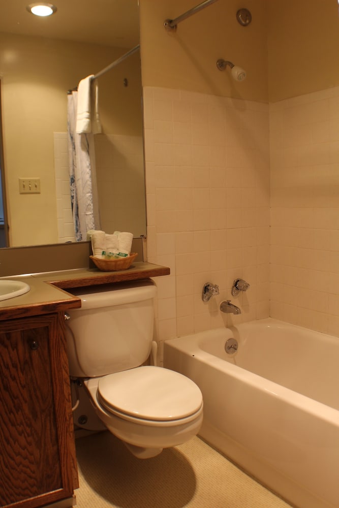 Crystal Chalets Condominiums at Crystal Mountain Ski Resort - photo 151