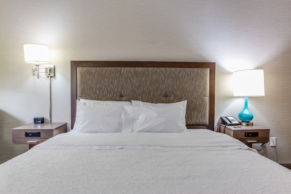 Hampton Inn Dickson - photo 14
