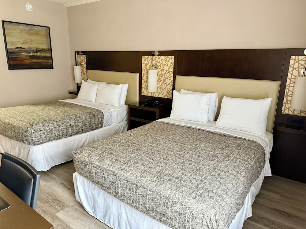 Coastal Comfort Hotel — Loris