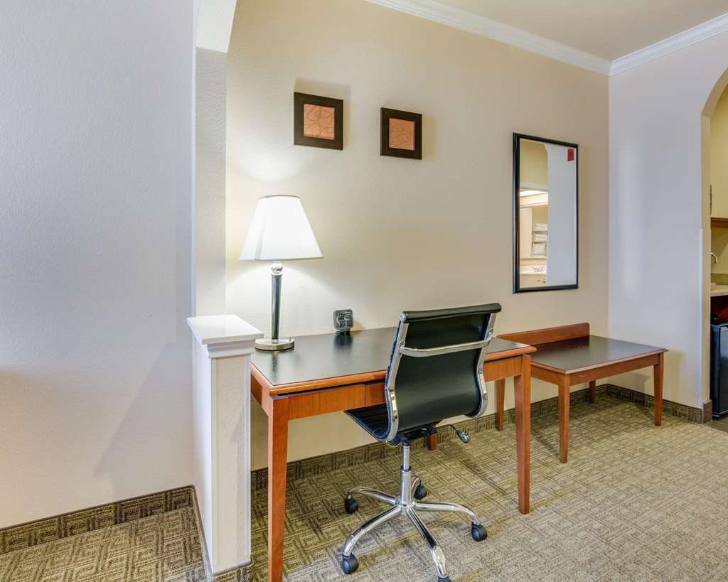 Comfort Suites Deer Park Pasadena - photo 15