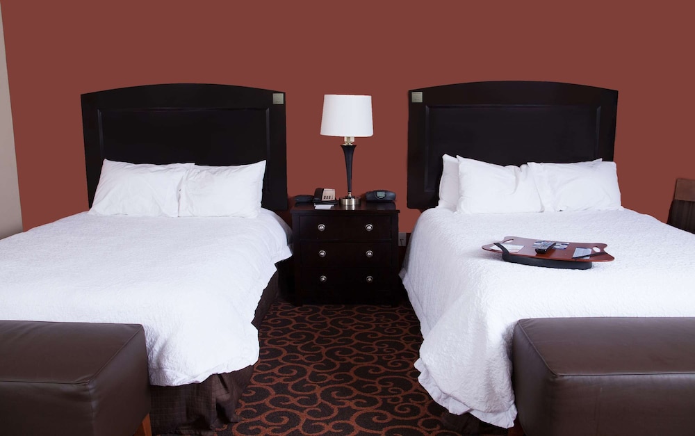 Hampton Inn & Suites Dickinson - photo 38