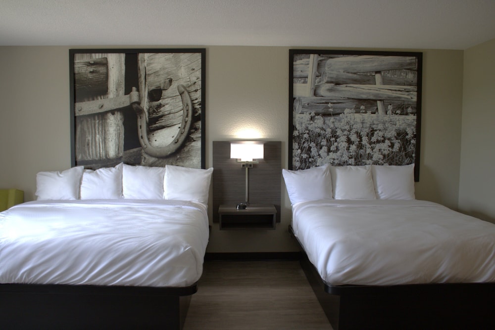 Super 8 by Wyndham Lamar - photo 24