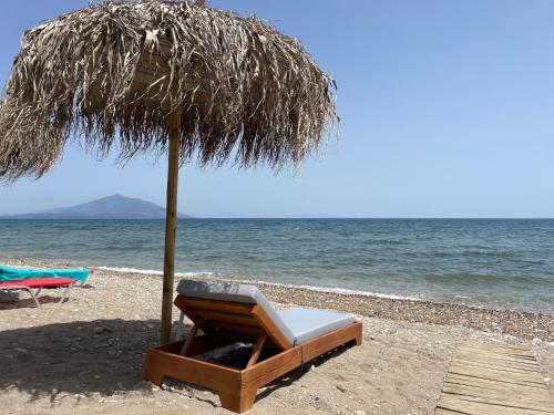 Hotel Ireon Beach — Samos — photo 5