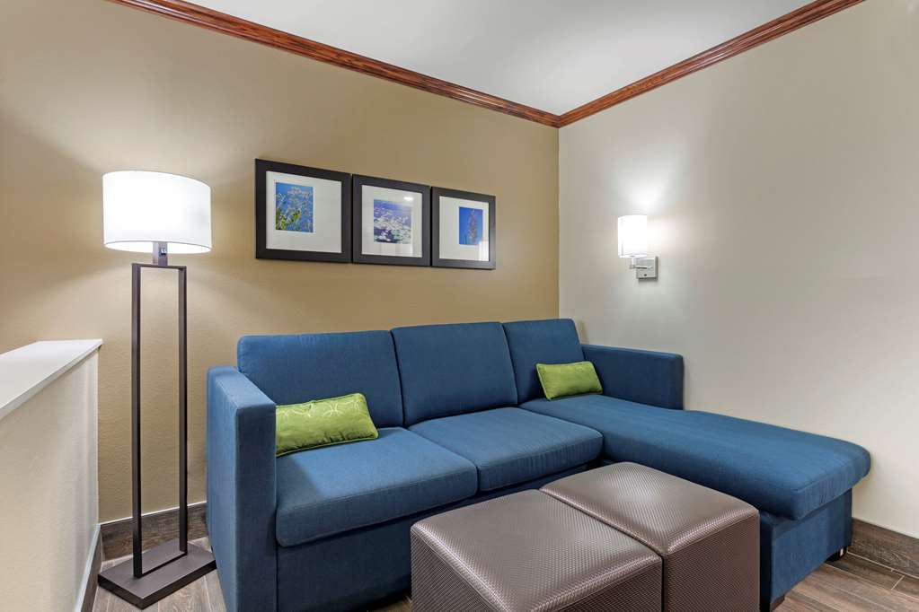 Comfort Suites West Monroe near Ike Hamilton Expo Center - photo 14