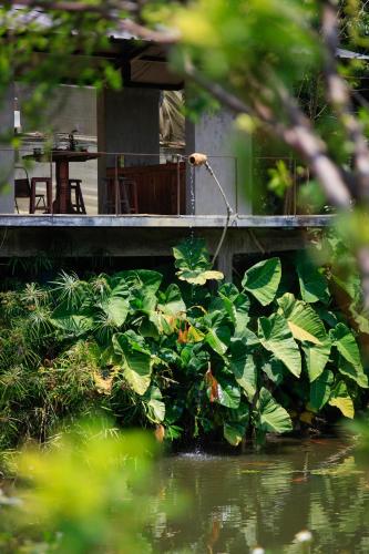 Dalaha Retreat - last minute hotel in Da Lat