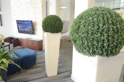 Domain at CityCentre - photo 23