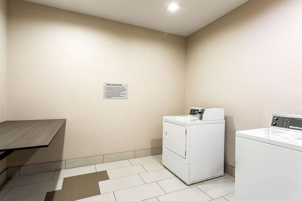 Quality Inn & Suites Colorado City TX - photo 46