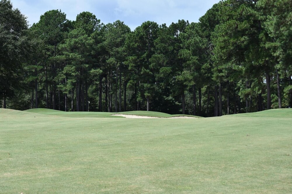 Studio Home 3009l Brunswick Plantation Resort With 27 Hole Golf Course by Redawning - photo 14