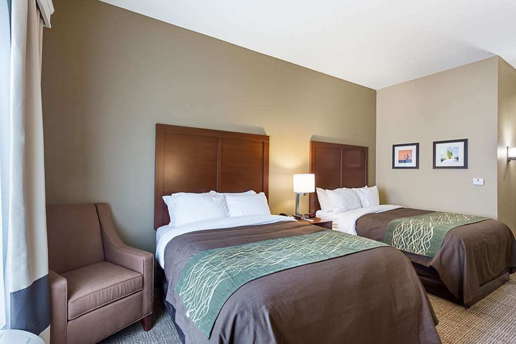 Comfort Inn & Suites Zachary - photo 13