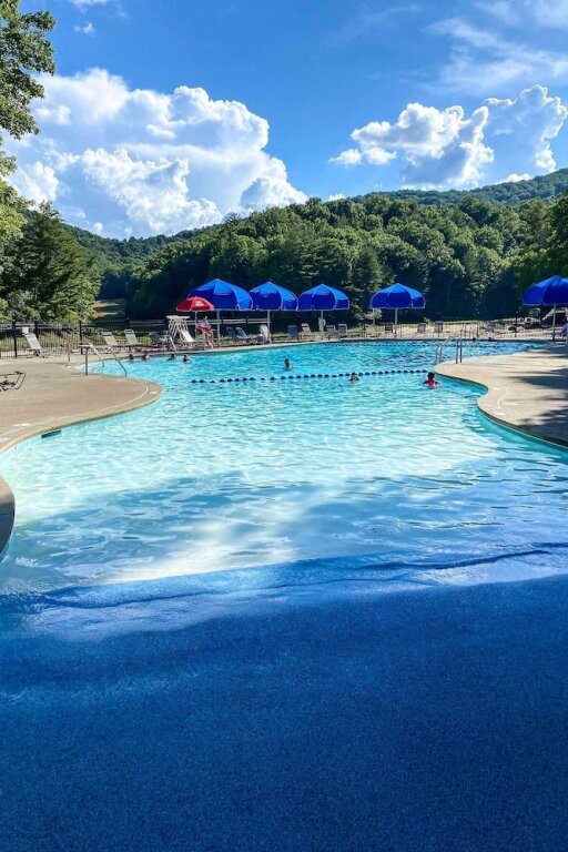 Big Canoe Mountain Resort Cabin w Pool Access - photo 13