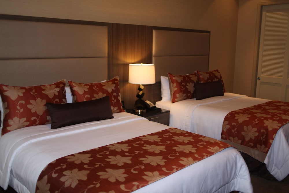 Opera House Hotel - photo 10
