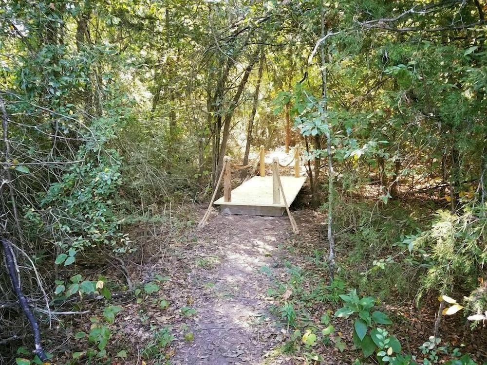 Savannah's Meadow - photo 22
