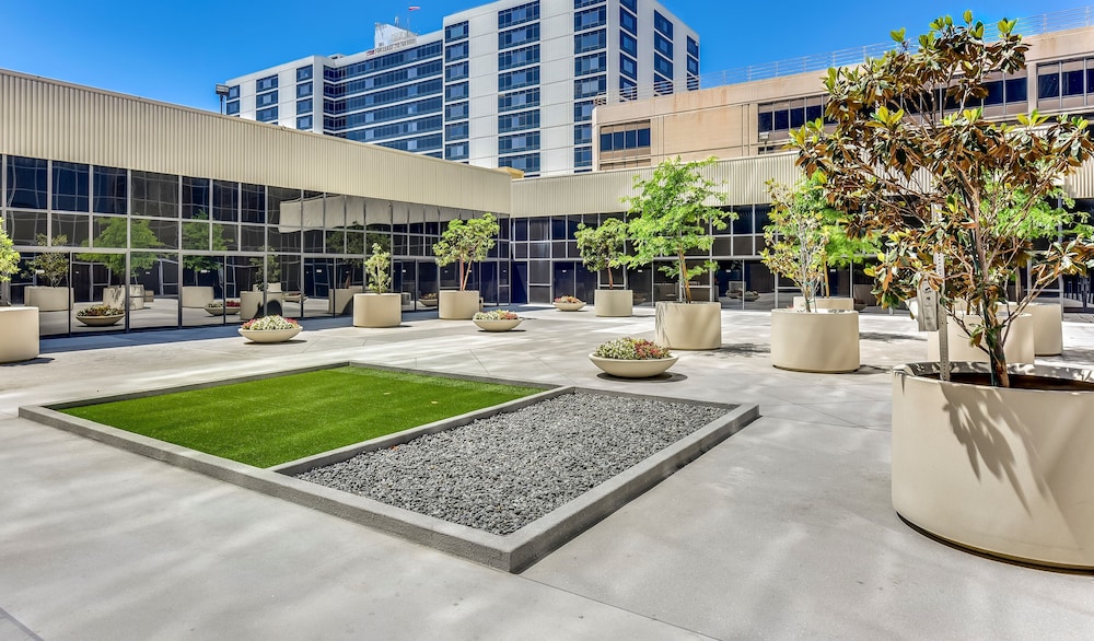 Hilton Los Angeles Airport - photo 50