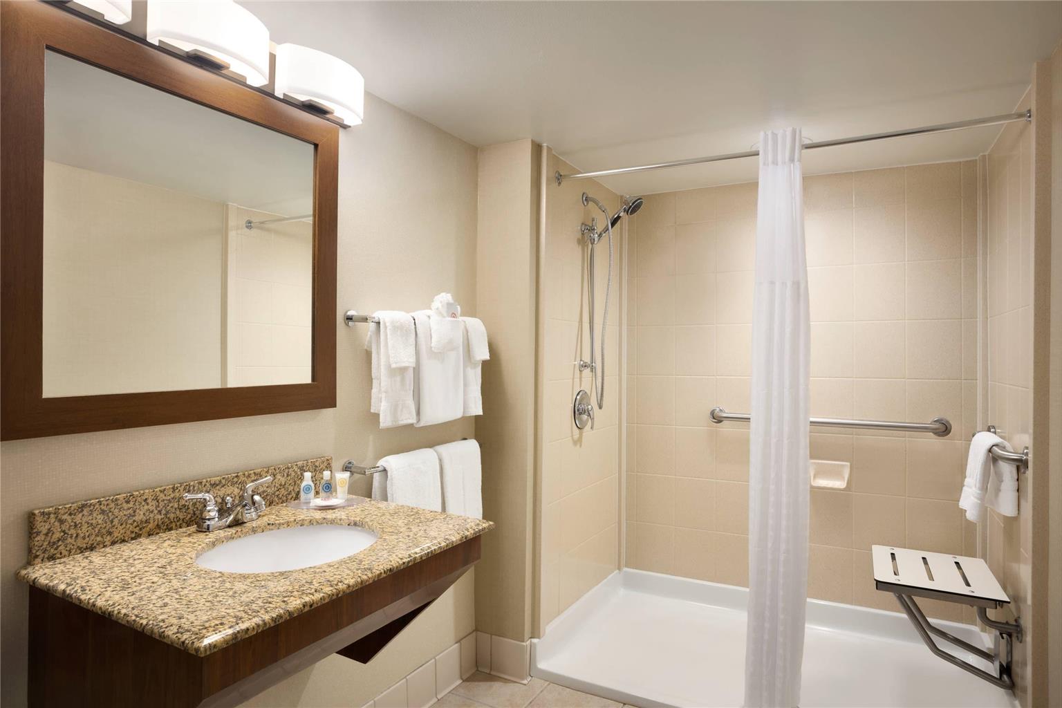 Comfort Inn & Suites Presidential Downtown Little Rock - photo 10