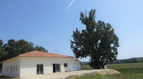 Juine - carbon neutral hotel in Unknown City