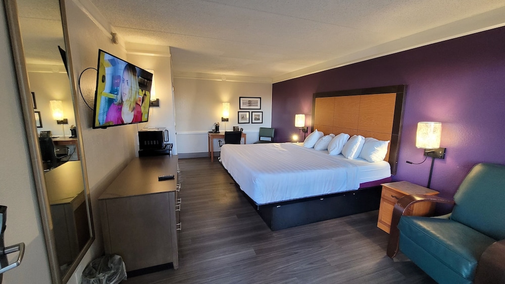 Palm Bliss Hotel Corpus Christi South - photo 10