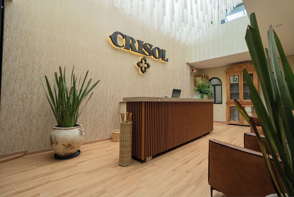 Crisol Frente a la Parroquia de San Miguel Arcángel in San Miguel De Allende, Mexico