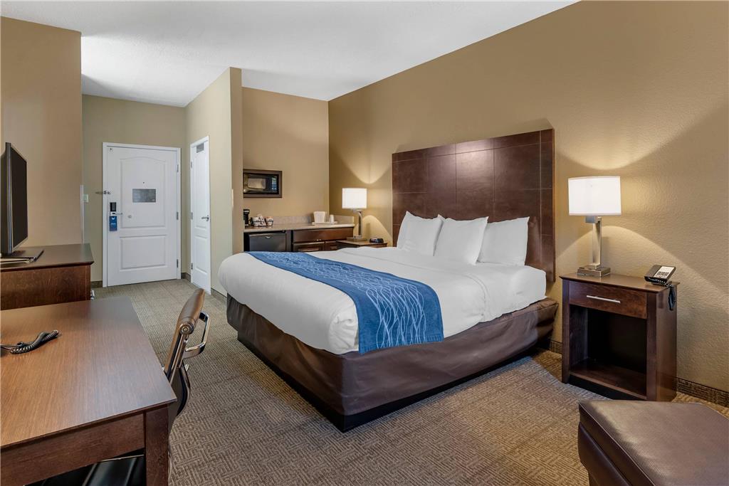 Comfort Inn & Suites Bryant Benton - photo 14