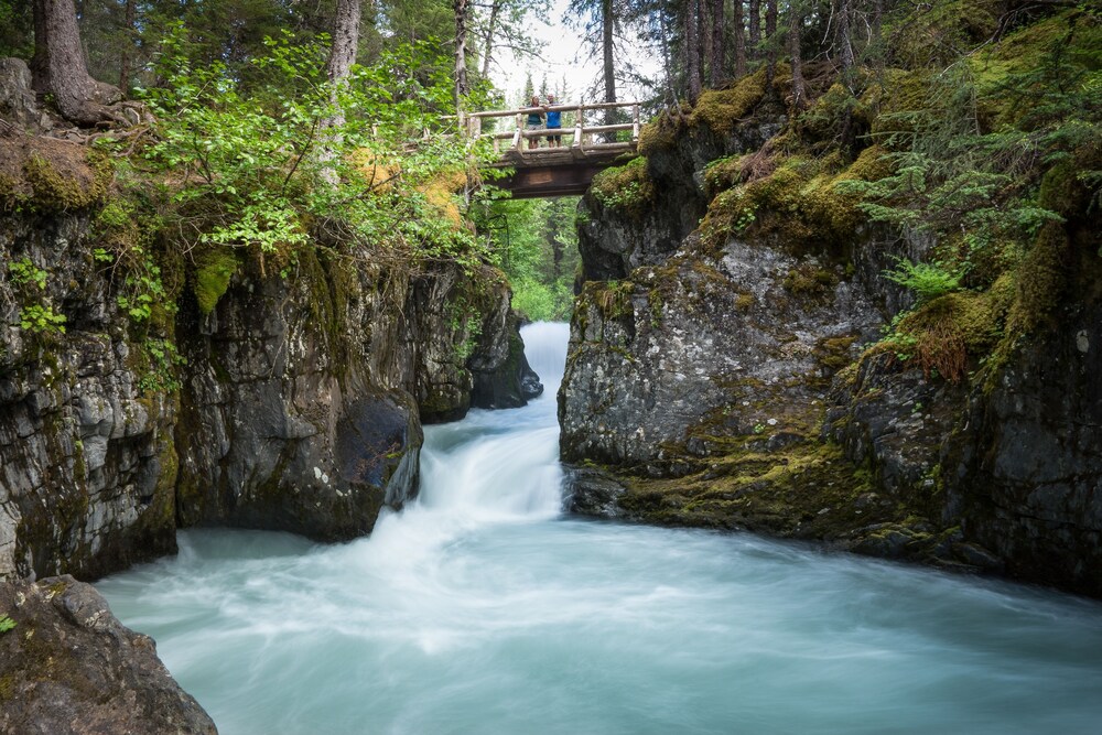 Alyeska Hideaway - photo 16