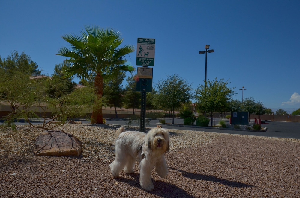 Holiday Inn Express Las Vegas Nellis by IHG - photo 33