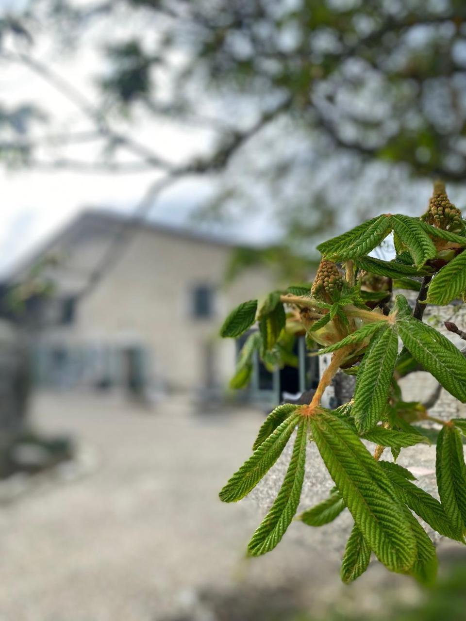 Figtrees - carbon neutral hotel in Unknown City