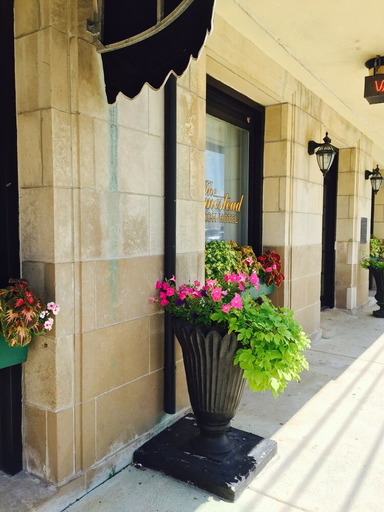 Homestead Beach Hotel - photo 27
