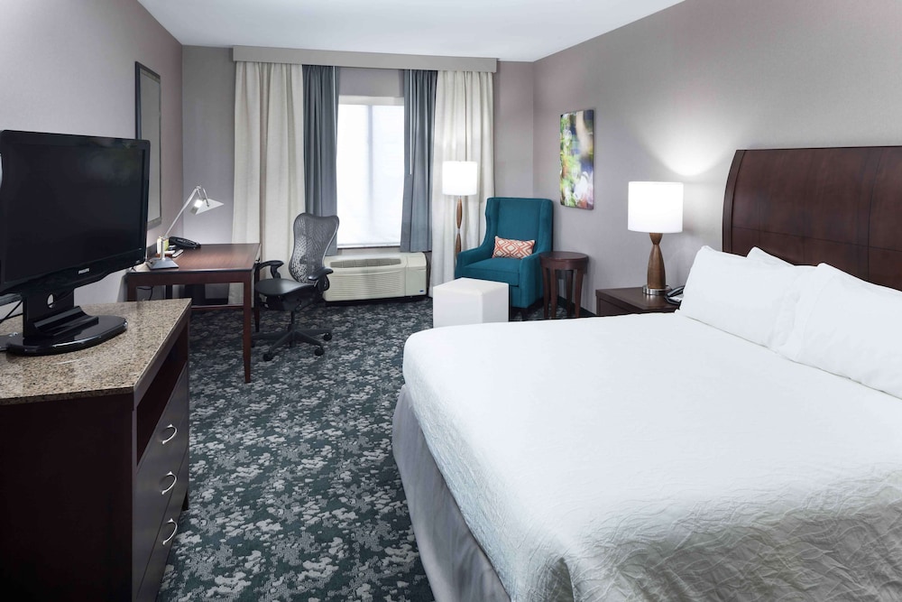 Hilton Garden Inn Detroit Novi - photo 10