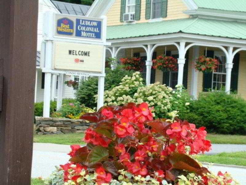 Ludlow Colonial Motel - photo 23