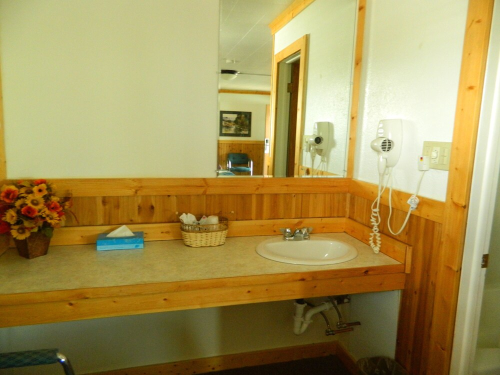 Country Motor Inn - photo 58