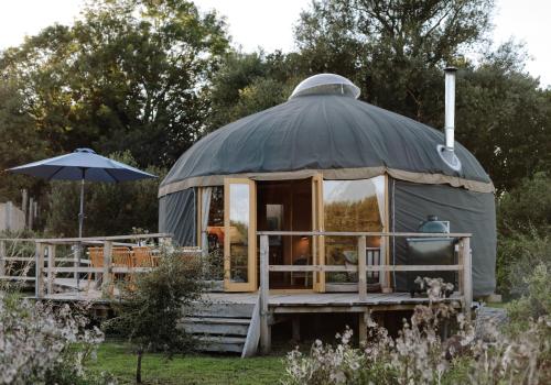 Tree Field Yurt at Moor Farm — hotel in Godshill
