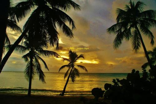 Apartment With 2 Bedrooms in Les Trois îlets With Wonderful sea View — 4-Star Luxury Hotel in Les Trois-Ilets, Martinique