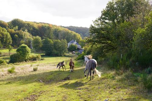 Ferme Équestre Equi'Cantal - last minute hotel in Unknown City