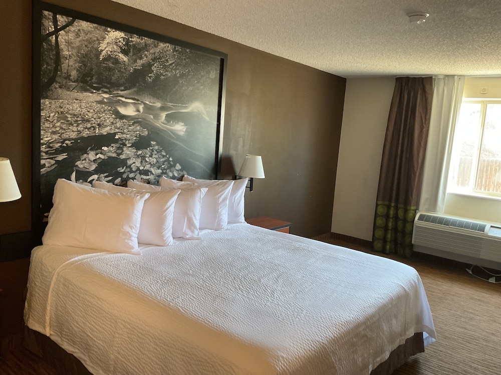 Super 8 by Wyndham Colorado Springs Airport — hotel in Colorado Springs