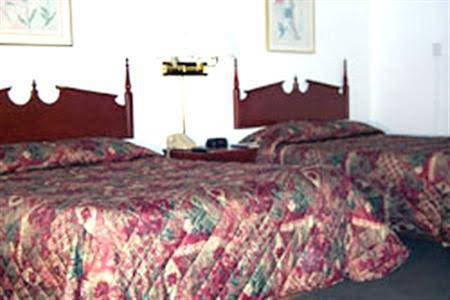 La Quinta Inn & Suites St. Paul - photo 4