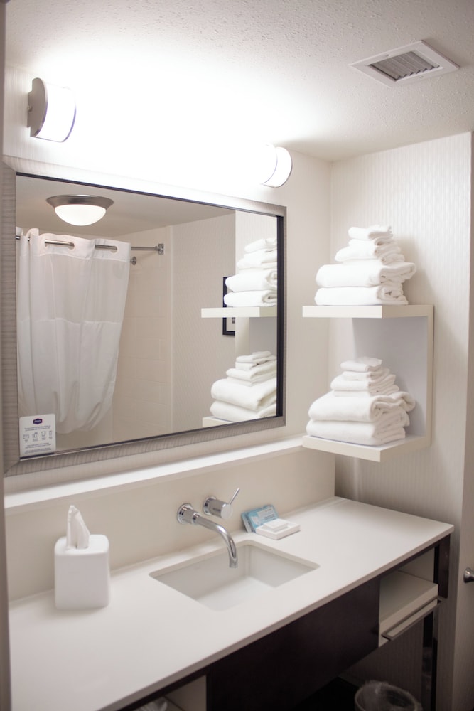 Hampton Inn Big Rapids - photo 17