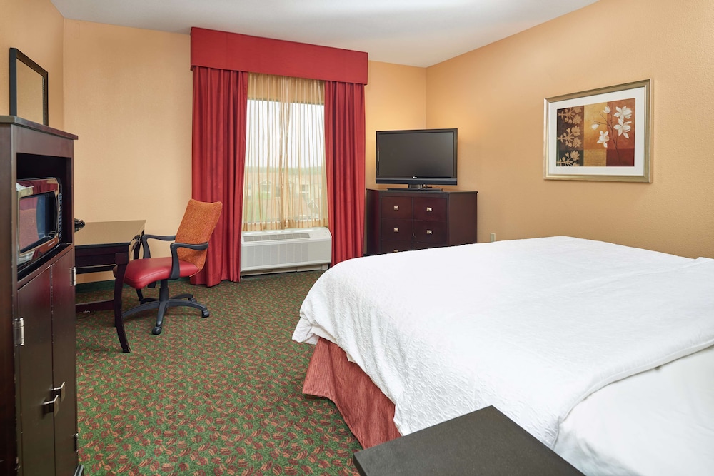 Hampton Inn & Suites Waco South - photo 25